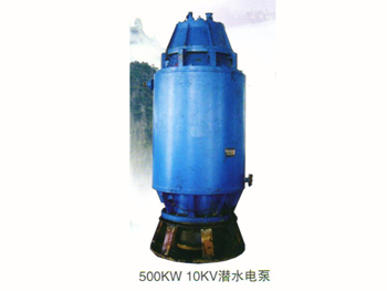 500KW 10KV潛水電泵