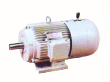 YEJ及系列相異步電機(jī)