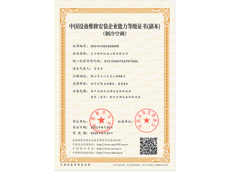 能力等級(jí)證書